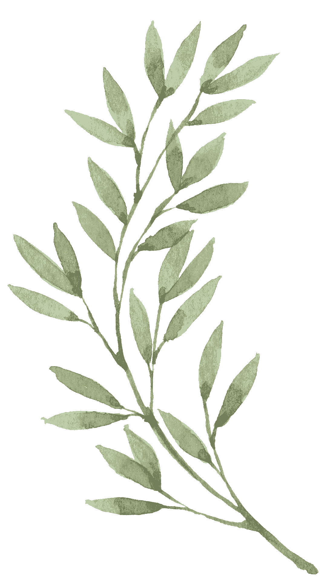 Buy Muttikulangara Oil